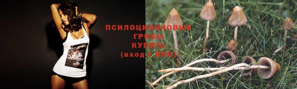 Альфа ПВП Абаза