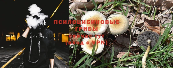 Альфа ПВП Абаза
