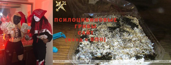 Альфа ПВП Абаза