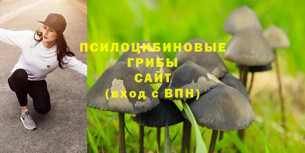 крисы Абдулино