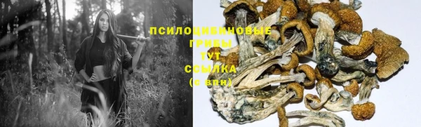 Альфа ПВП Абаза